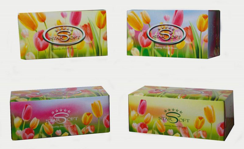 329537 starsoft facial tissues 02 grande 329537 starsoft facial tissues 02 grande