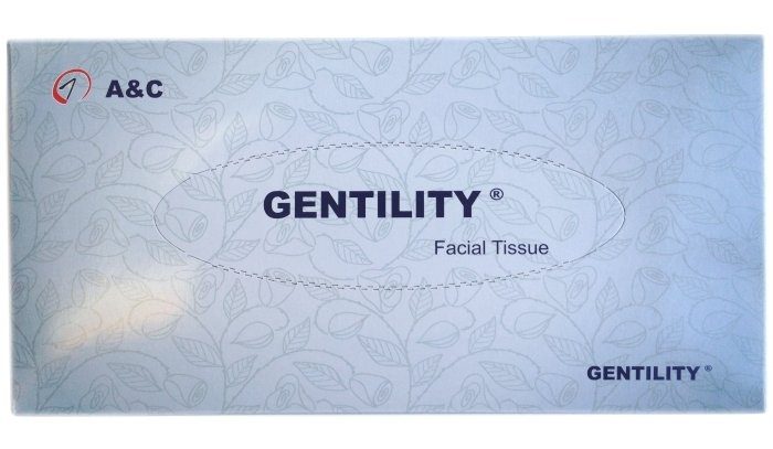 303047 a c facial tissues 2ply 100sht 48 boxes 01 ac 100 48 01 grande