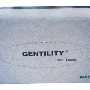 303047 a c facial tissues 2ply 100sht 48 boxes 01 ac 100 48 03a grande