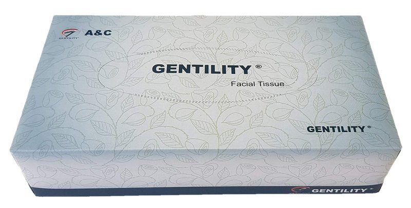 303047 a c facial tissues 2ply 100sht 48 boxes 01 ac 100 48 04a grande