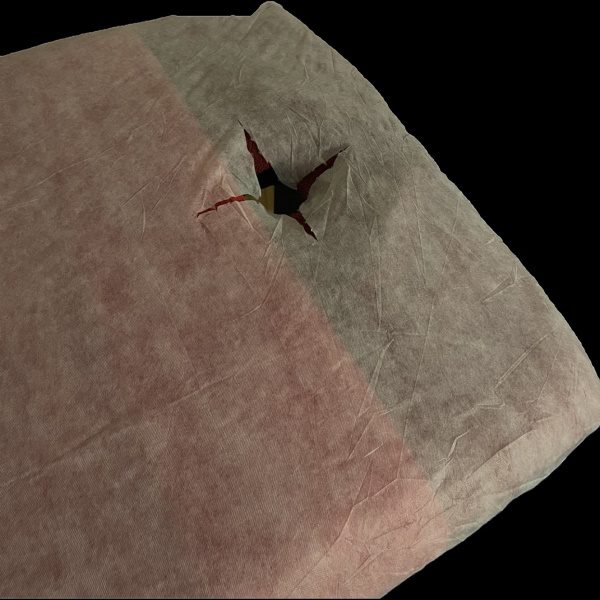 disposable bed sheet 1